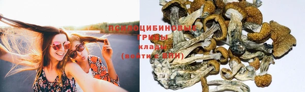 стафф Алзамай