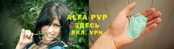 стафф Алзамай
